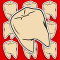 Large off-white tooth with simple black anatomical linework and a clean white sticker border.