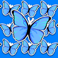 Bright blue butterfly with black body, dark wing edges and turquoise-green markings across the wings.