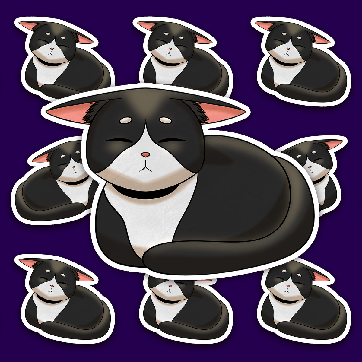 Round black-and-white tuxedo cat resting with its paws tucked underneath and its long tail curled around the front.