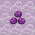 Three round purple berries arranged in a triangular cluster, with pink highlights, dark outlines and small star-shaped markings on top.