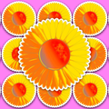 Front-facing sunflower head with long yellow petals, orange shading on the left and lower petals, and a speckled orange-red centre, outlined by a white border.